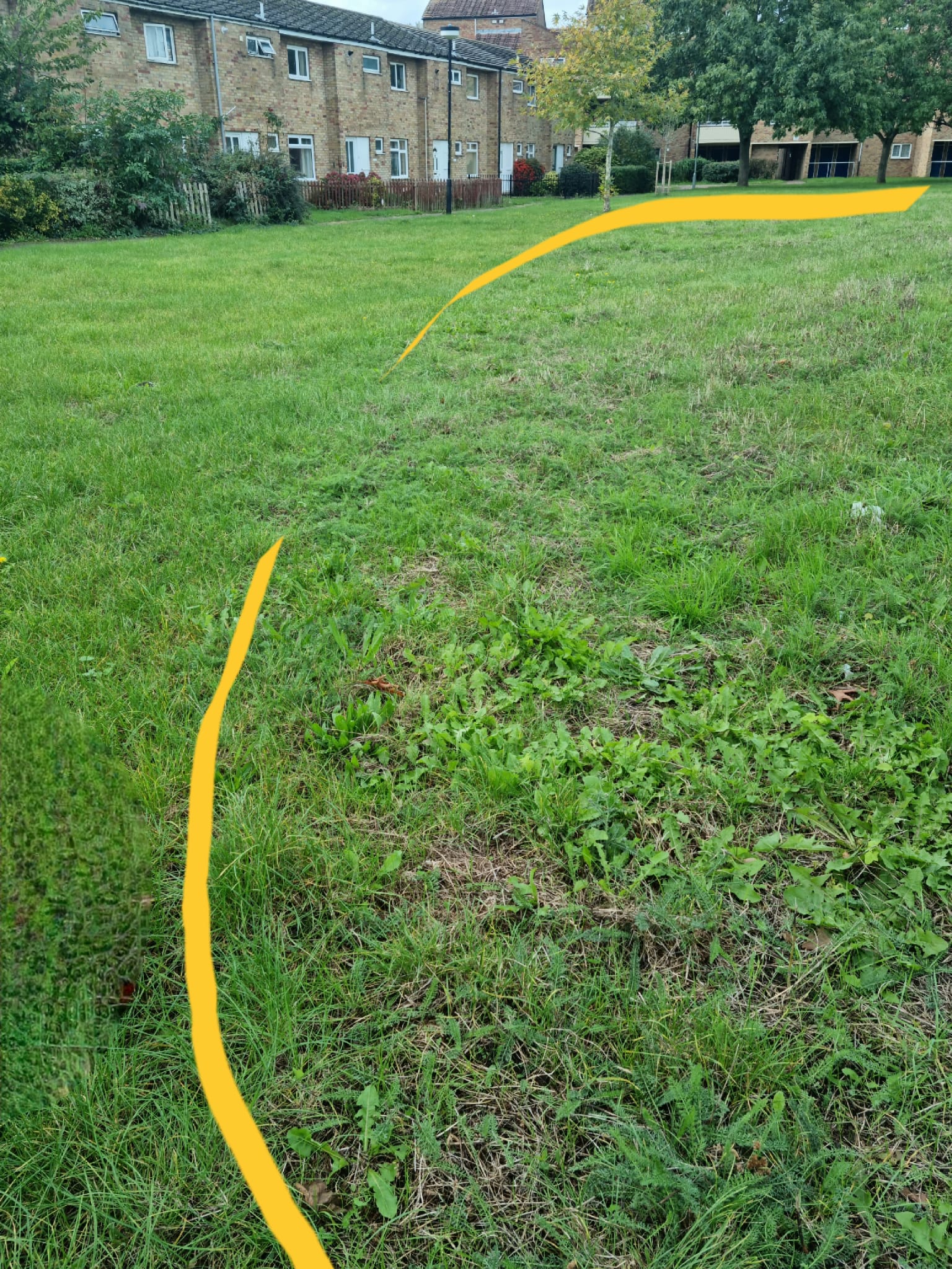 Hanson Court image 2